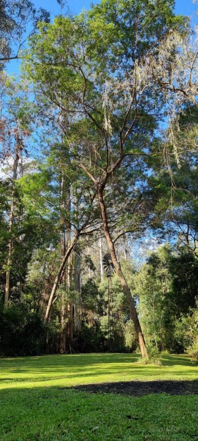 Bird Songs Getaway Accommodation Cabbage Tree Creek Exterior photo